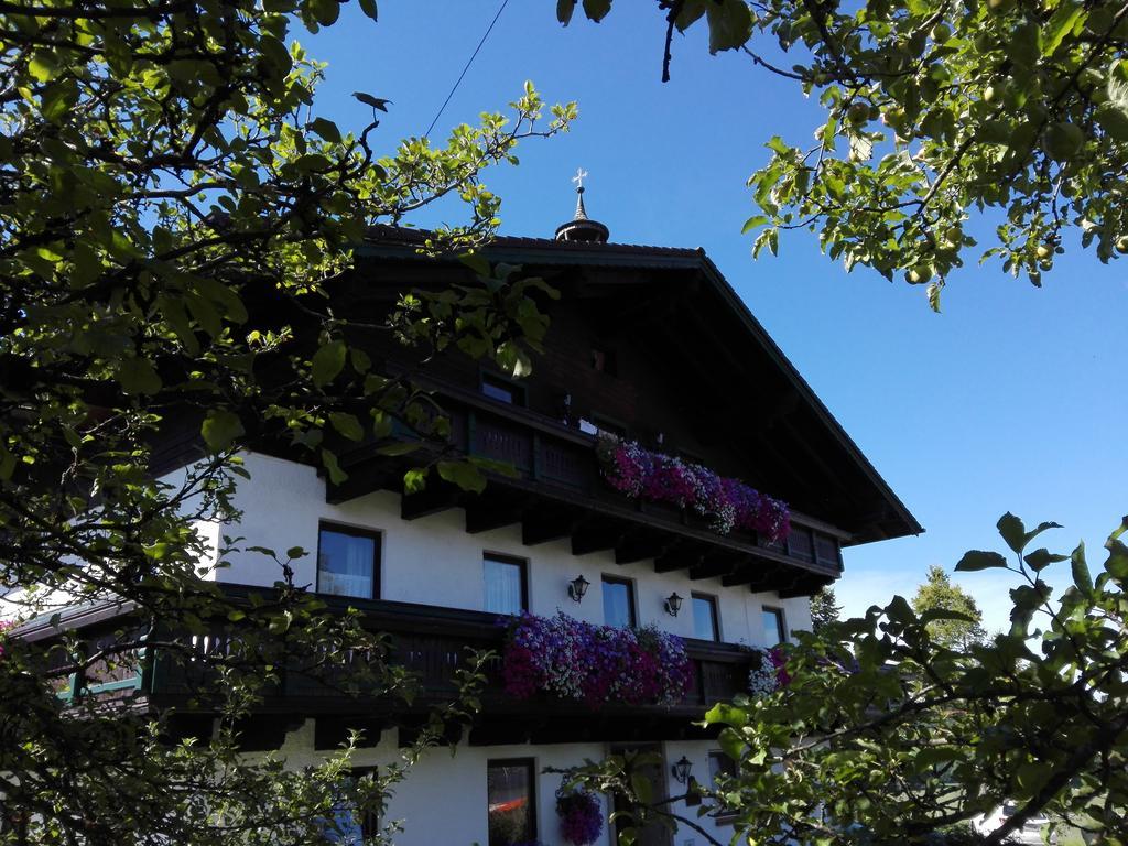 Schusterbauer Villa Koppl Eksteriør bilde