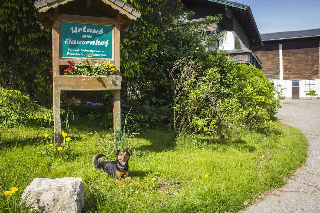 Schusterbauer Villa Koppl Eksteriør bilde