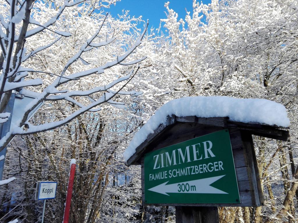 Schusterbauer Villa Koppl Eksteriør bilde
