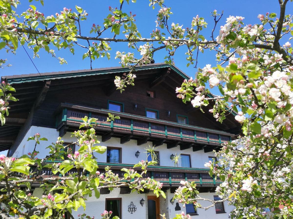 Schusterbauer Villa Koppl Eksteriør bilde